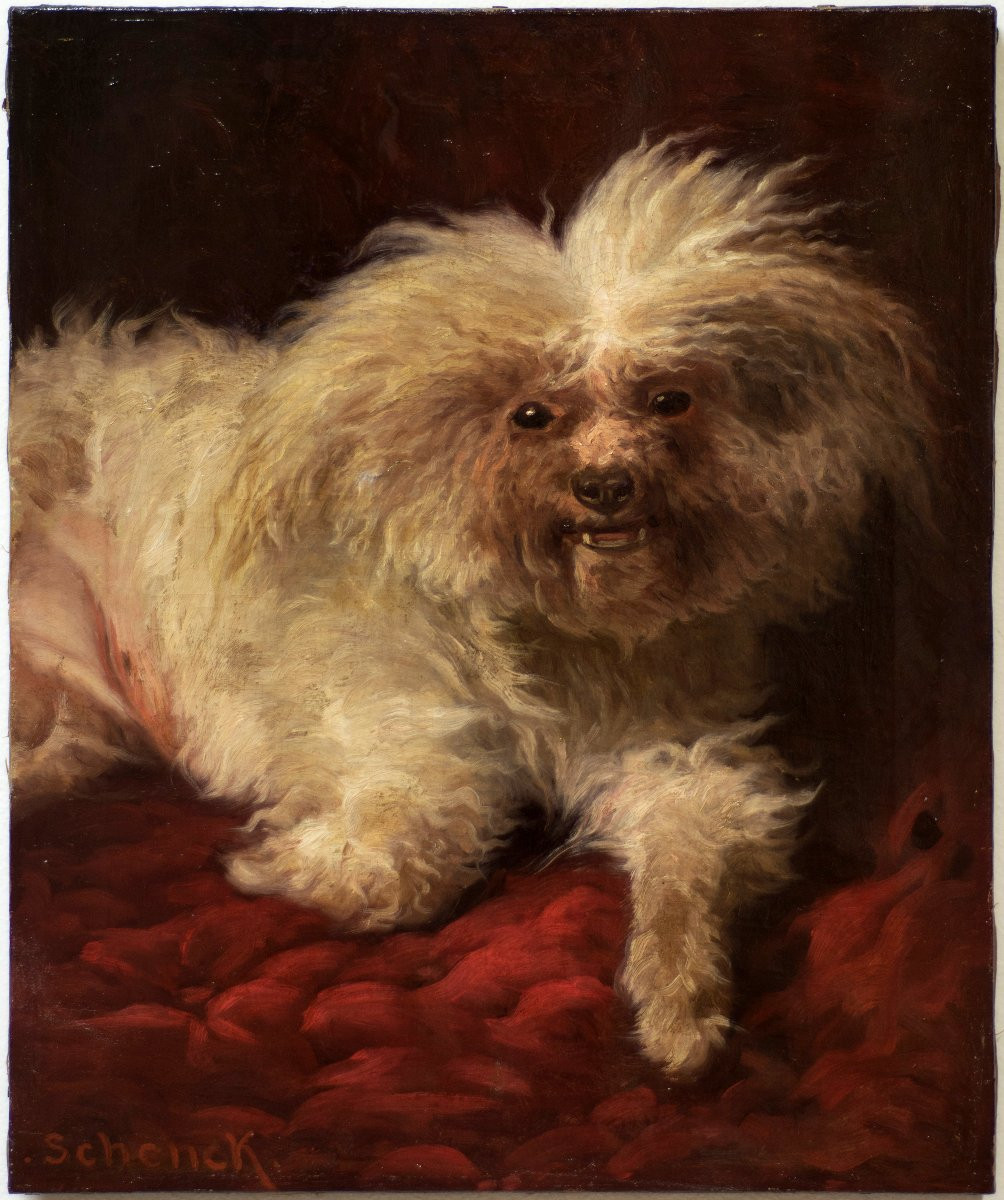 August Friedrich Albrecht Schenck (1821-1900). Portrait Of A Maltese Dog-photo-2