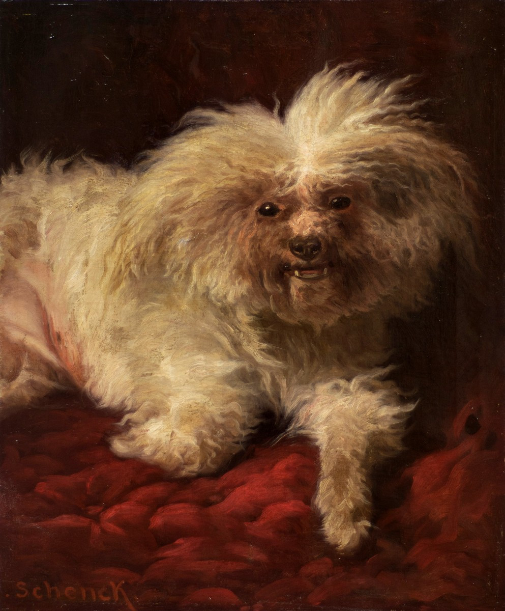 August Friedrich Albrecht Schenck (1821-1900). Portrait Of A Maltese Dog