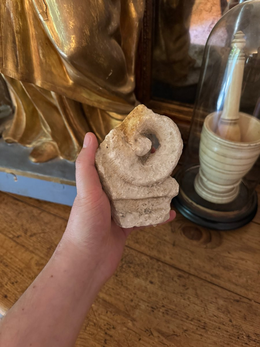 Sculpture, Architectural Fragment – Sculpted Volute – Classical Fragment – Late Period-photo-7