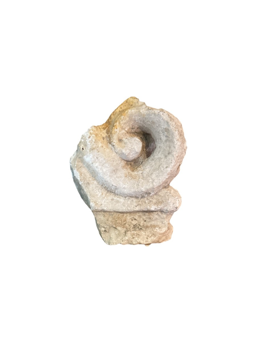 Sculpture, Architectural Fragment – Sculpted Volute – Classical Fragment – Late Period