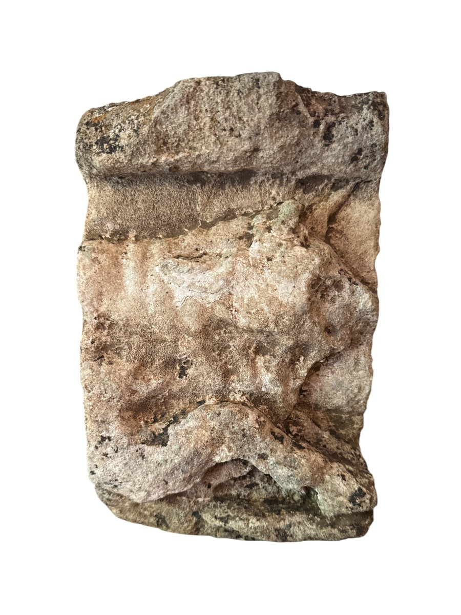 Artifact – Antiquity – Fragment Of A Taurobolic Altar – Sacrificial Bull – Archaeology