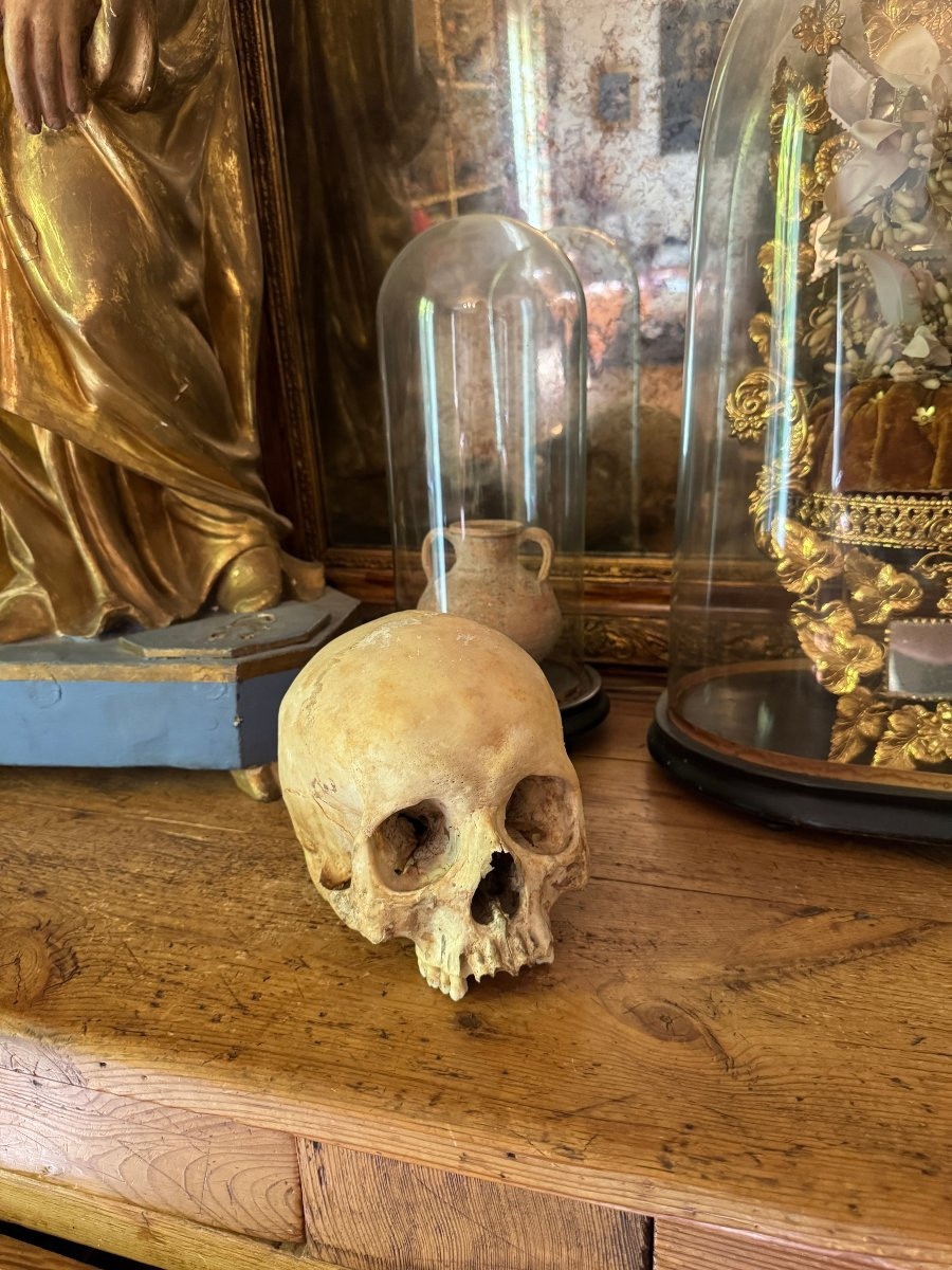 Cr&acirc;ne humain anatomique &ndash; Cabinet de curiosit&eacute;s &ndash; &Eacute;tude m&eacute;dicale &ndash; Vanit&eacute;, Memento Mori-photo-3