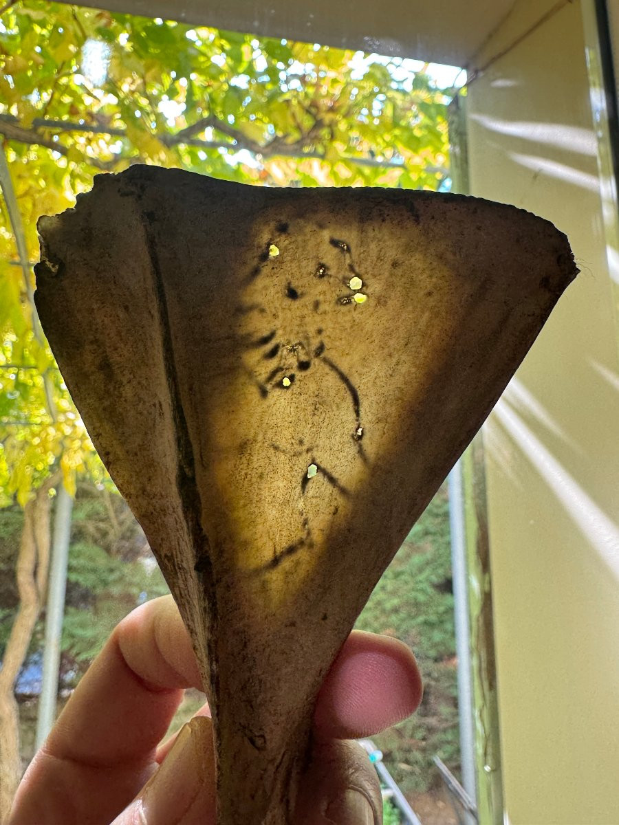 Curiosit&eacute;, Abraxas, Diable &ndash; Magie noire &ndash; Os grav&eacute; &ndash; Objet de sorcellerie - Occultisme -photo-6