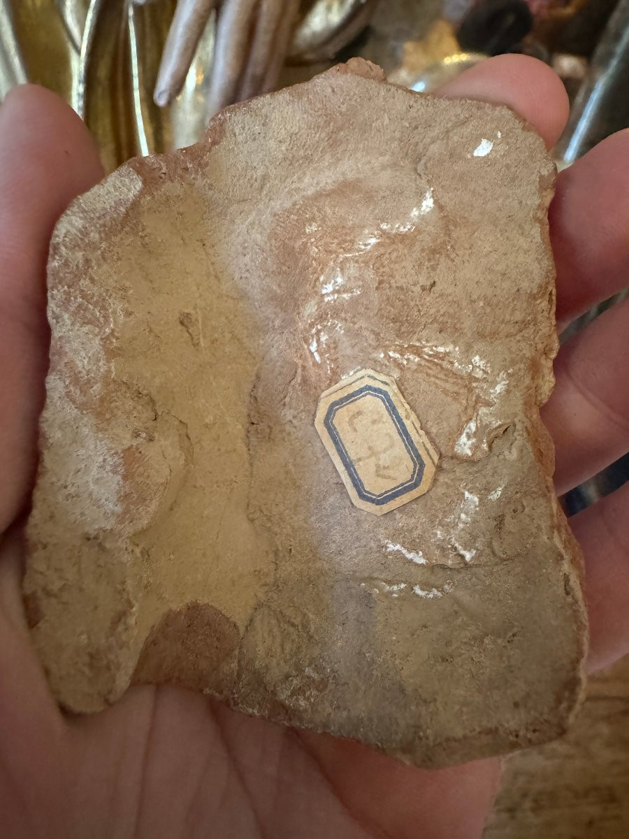 Artefact – Antiquité – Fragment de visage en terre cuite – Grande Grèce – Archéologie-photo-2