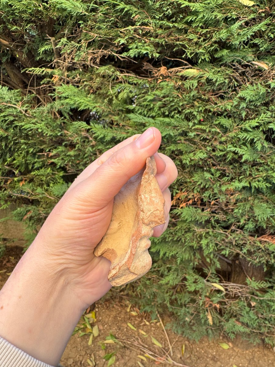 Artefact – Antiquité – Fragment de visage en terre cuite – Grande Grèce – Archéologie-photo-5