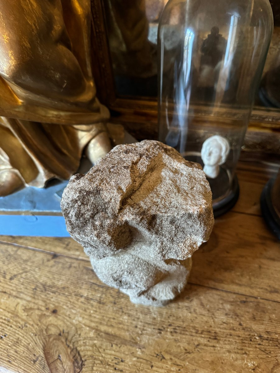 Fragment - Sculpture m&eacute;di&eacute;vale &ndash; Statuaire, cr&eacute;ature &ndash; Bestiaire &ndash; Cocatrix &ndash; Haute &Eacute;poque-photo-5