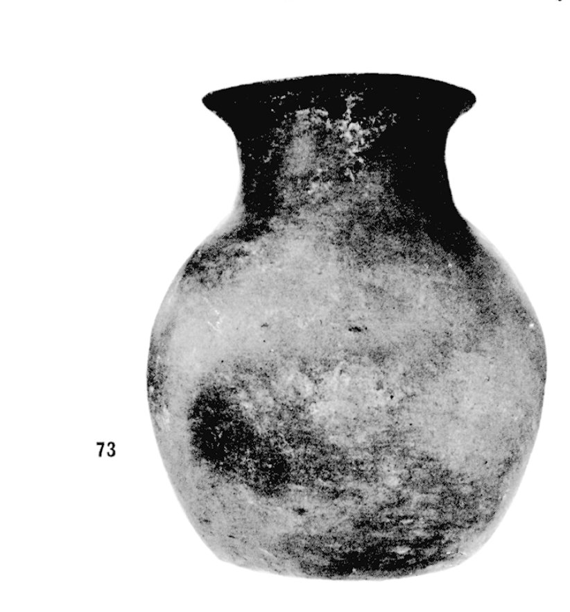 Artifact – Antiquity – Native Globular Urn Modeled With Documentation – Archaeology-photo-3