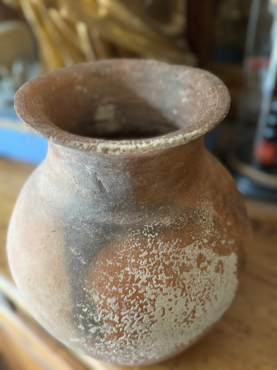 Artifact – Antiquity – Native Globular Urn Modeled With Documentation – Archaeology-photo-3