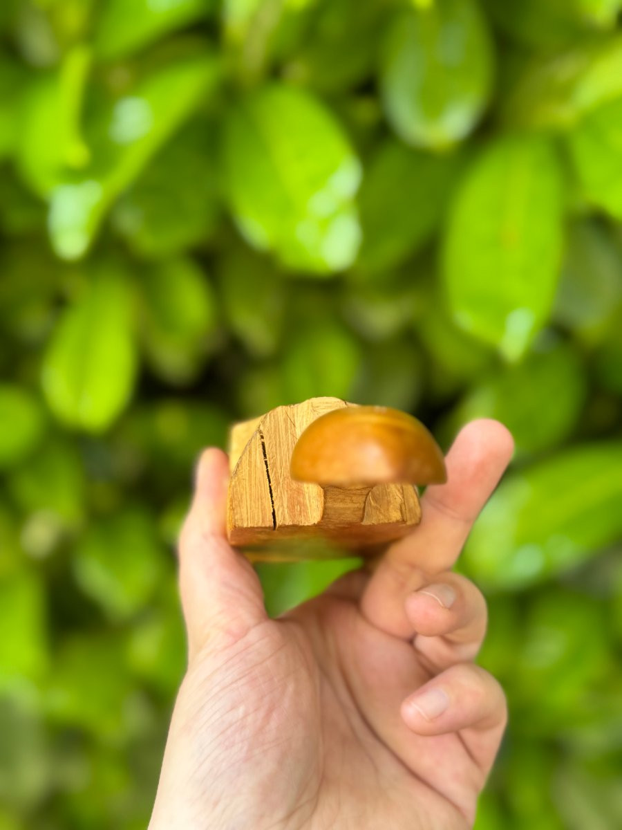  Curiosity - Wooden Spoon - An Everyday Object With An Interrupted Gesture - Folk Art-photo-5