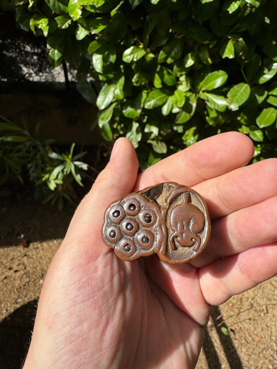 Netsuke – Fleur de lotus aux graines mobiles et insecte – Buis sculpté – Japon – Époque Edo -photo-2