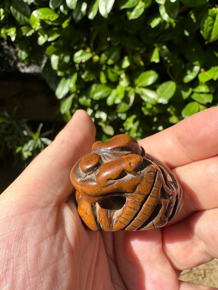 Netsuke – Fleur de lotus aux graines mobiles et insecte – Buis sculpté – Japon – Époque Edo -photo-4