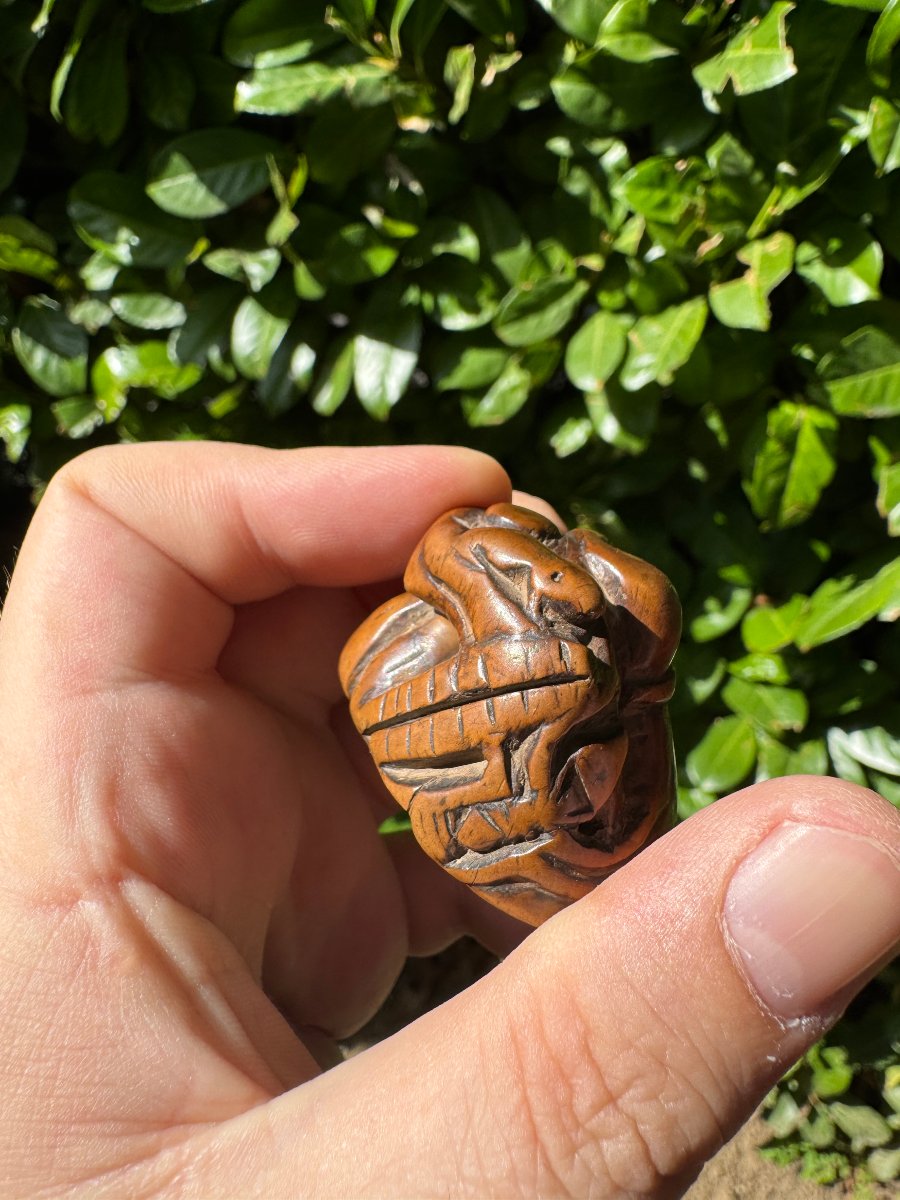 Netsuke – Fleur de lotus aux graines mobiles et insecte – Buis sculpté – Japon – Époque Edo -photo-7