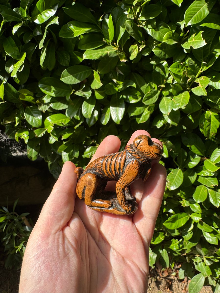 Netsuke – Singe acroupi (Saru) au collier de corde – Buis sculpté – Japon – Époque Edo-photo-2