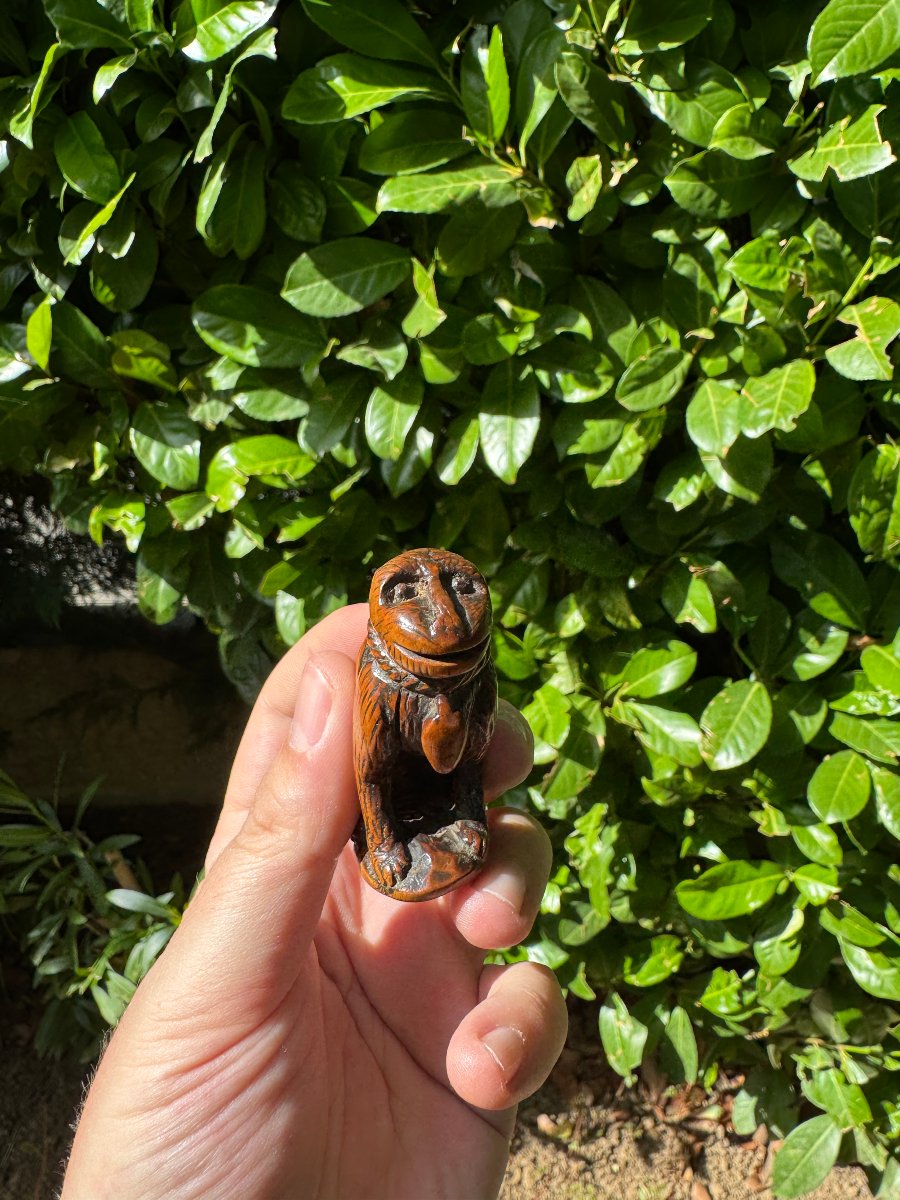 Netsuke – Singe acroupi (Saru) au collier de corde – Buis sculpté – Japon – Époque Edo-photo-3