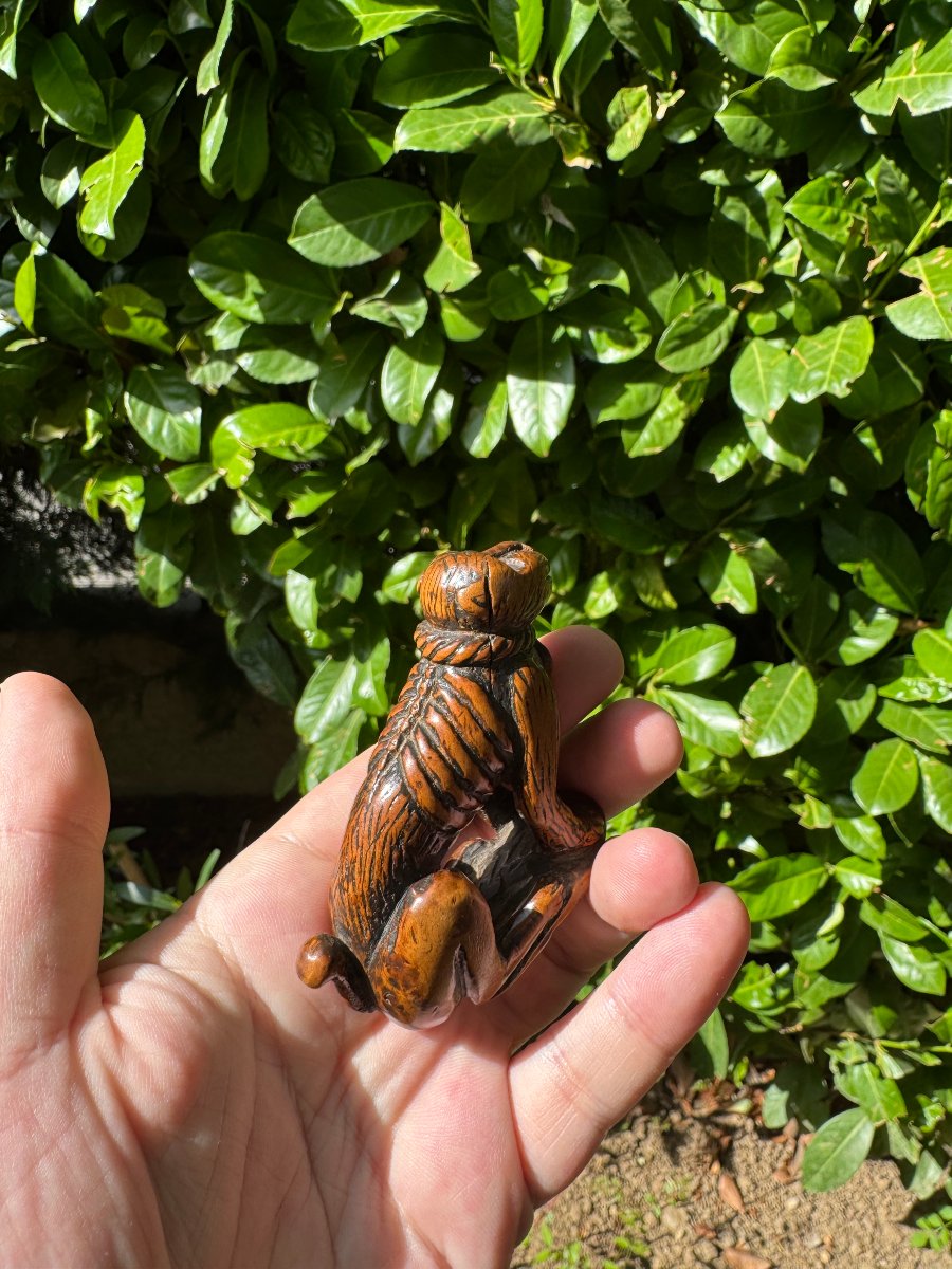 Netsuke – Singe acroupi (Saru) au collier de corde – Buis sculpté – Japon – Époque Edo-photo-4