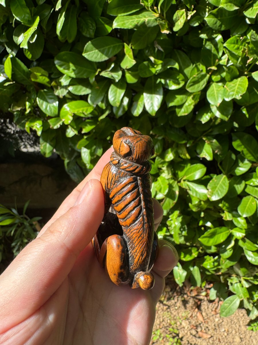 Netsuke – Singe acroupi (Saru) au collier de corde – Buis sculpté – Japon – Époque Edo-photo-1