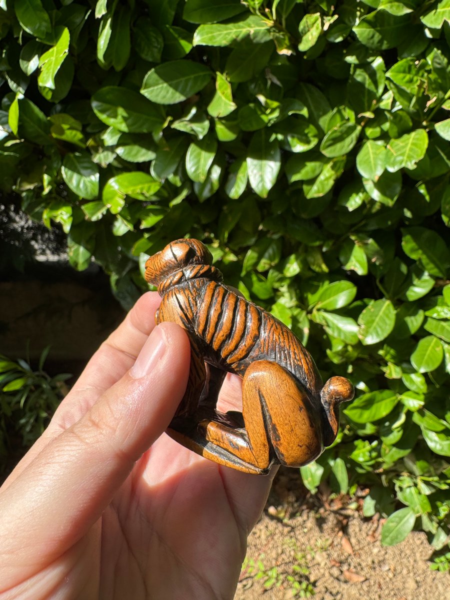 Netsuke – Singe acroupi (Saru) au collier de corde – Buis sculpté – Japon – Époque Edo-photo-2