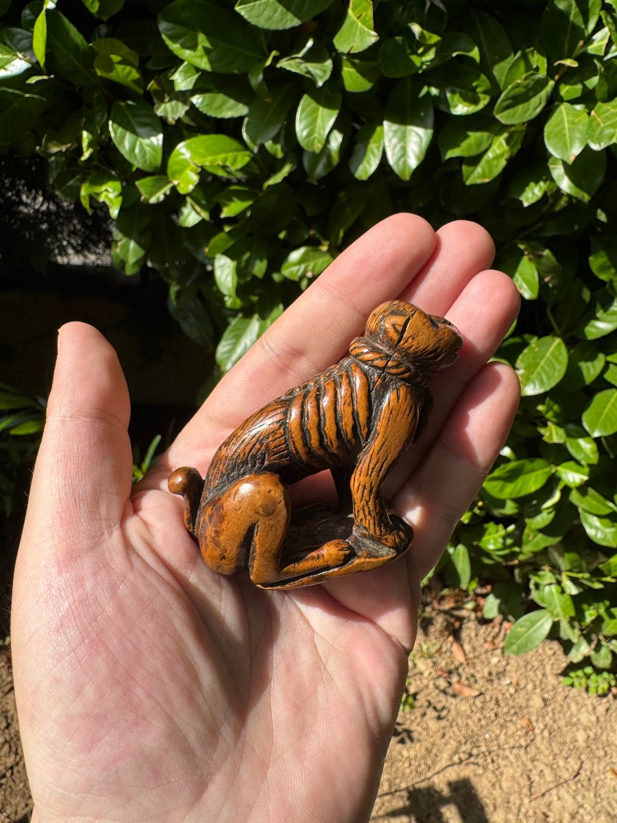 Netsuke – Singe acroupi (Saru) au collier de corde – Buis sculpté – Japon – Époque Edo-photo-6