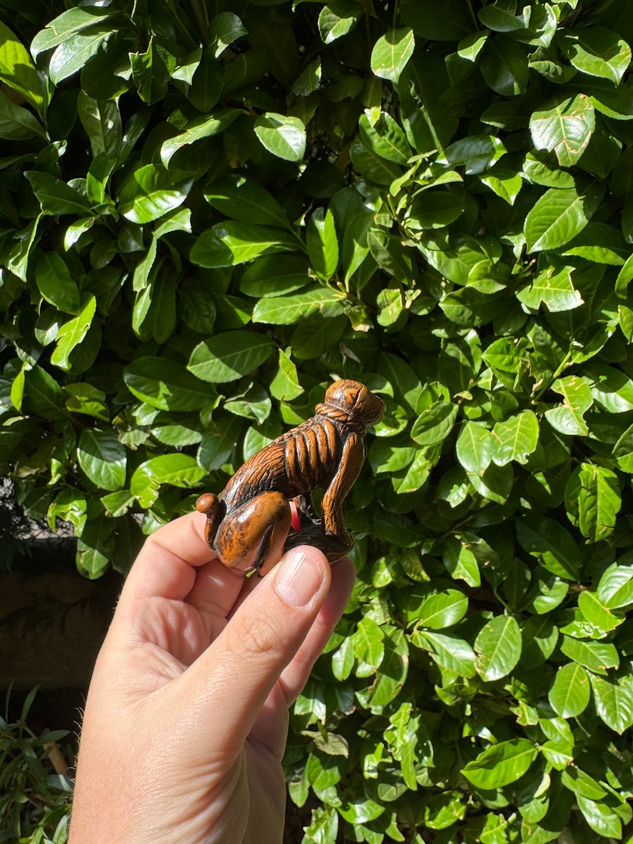 Netsuke – Singe acroupi (Saru) au collier de corde – Buis sculpté – Japon – Époque Edo-photo-8