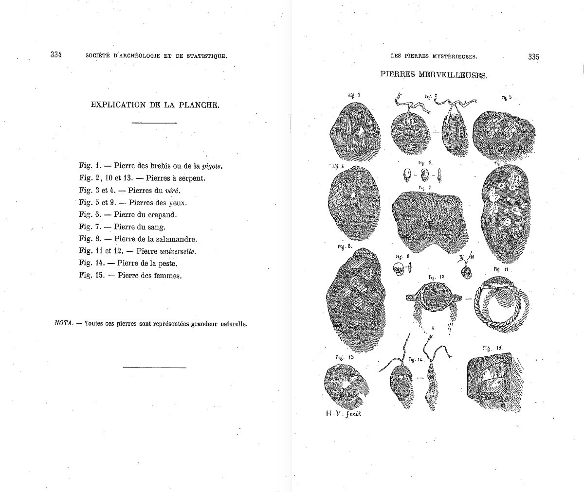 Mus&eacute;e - Curiosit&eacute; &ndash;  Pierres &agrave; venin &ndash; Talismans, M&eacute;decine, Sorcellerie - Art populaire-photo-4