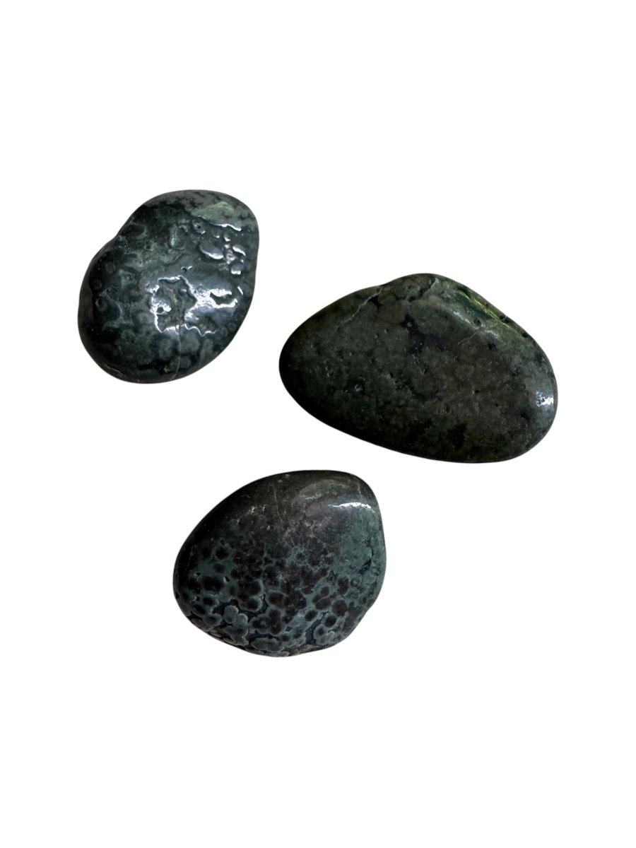 Mus&eacute;e - Curiosit&eacute; &ndash;  Pierres &agrave; venin &ndash; Talismans, M&eacute;decine, Sorcellerie - Art populaire