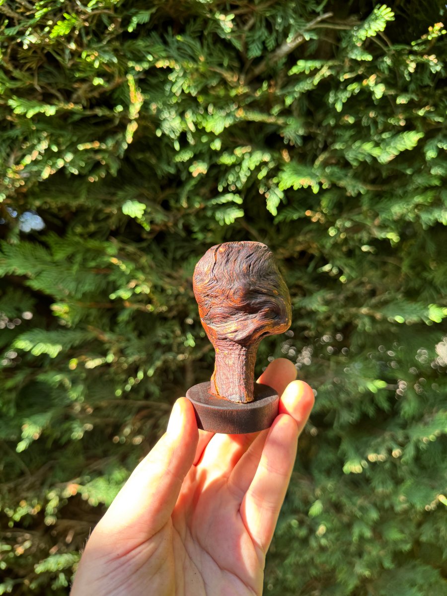 Sculpture - Visage, Buste féminin populaire sculpté dans une loupe de bois – Art populaire-photo-1