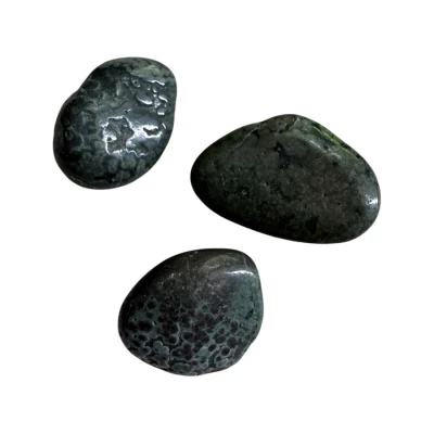 Premiere-Image-1770153