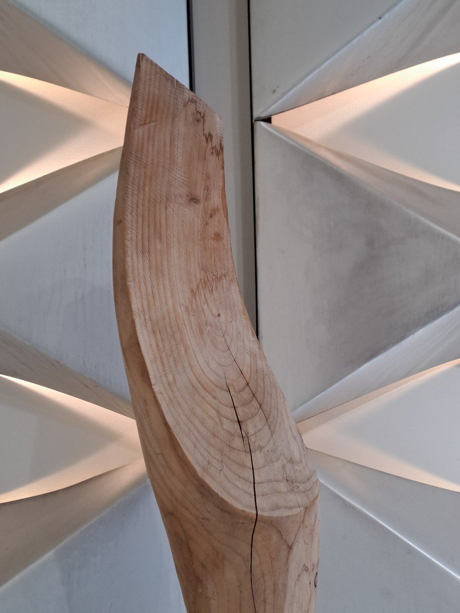 Free Form Solid Sculpture - Roland Lavianne-photo-3