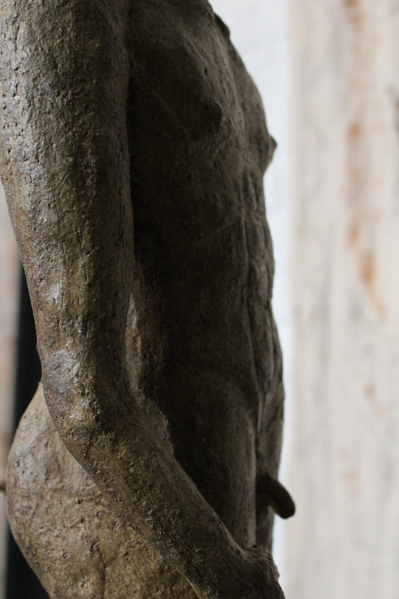 Old Academic Study Of A Man-photo-3