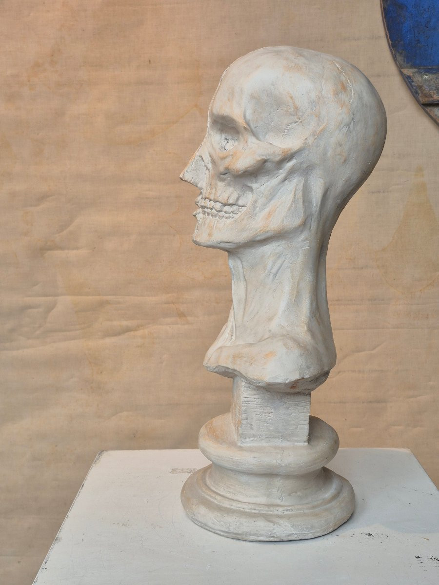 Vintage Plaster Ecorche Bust-photo-1