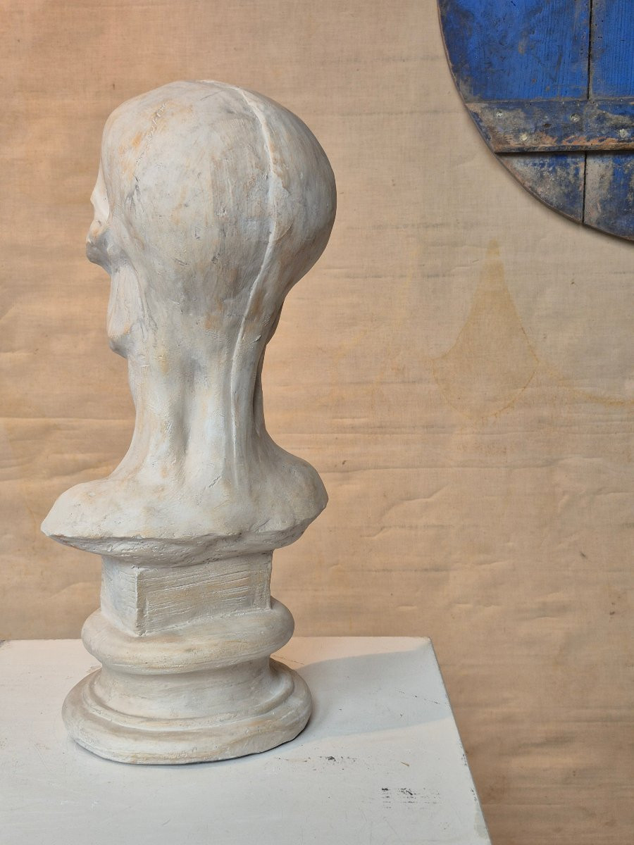 Vintage Plaster Ecorche Bust-photo-6