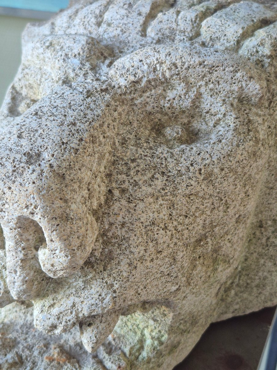Antique Italian Gargoyle Fragment-photo-3