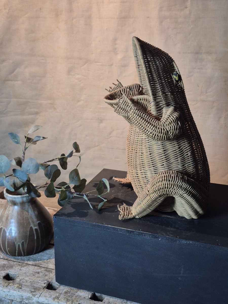 Vintage Froggy Magazine Rack By Olivier Cajan-photo-7