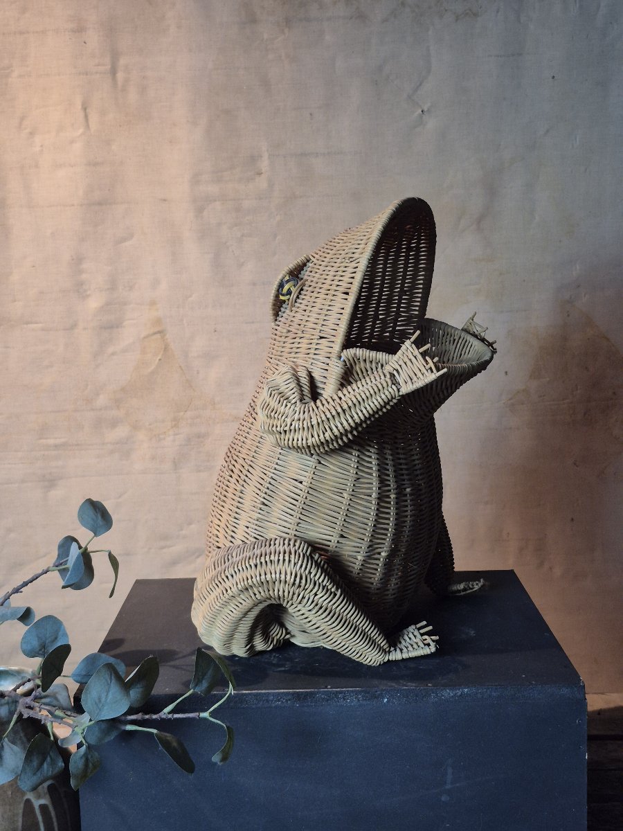 Vintage Froggy Magazine Rack By Olivier Cajan