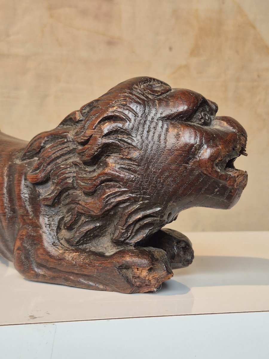 17th-century Dutch Rudder Lion-photo-2