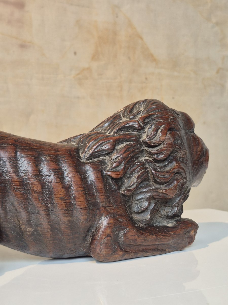 17th-century Dutch Rudder Lion-photo-7