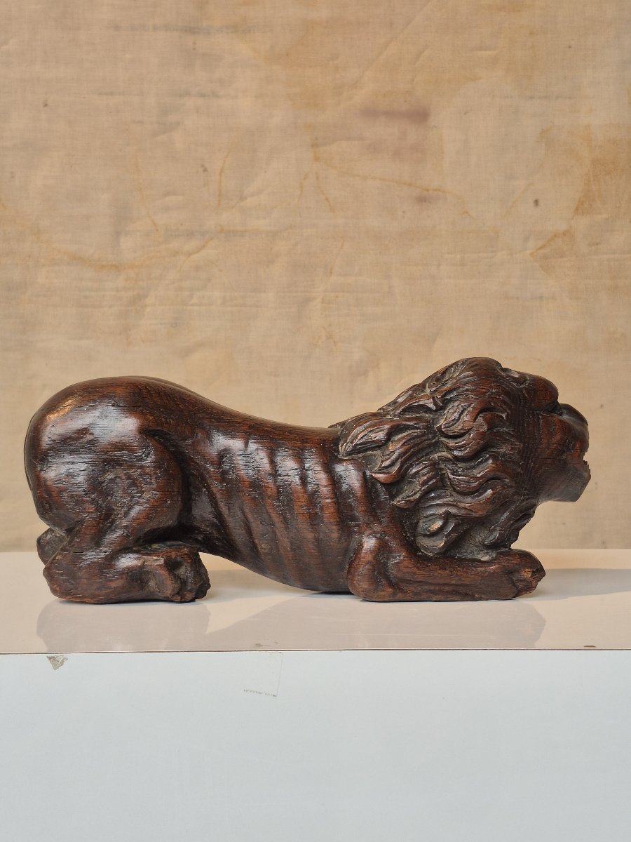 17th-century Dutch Rudder Lion-photo-8