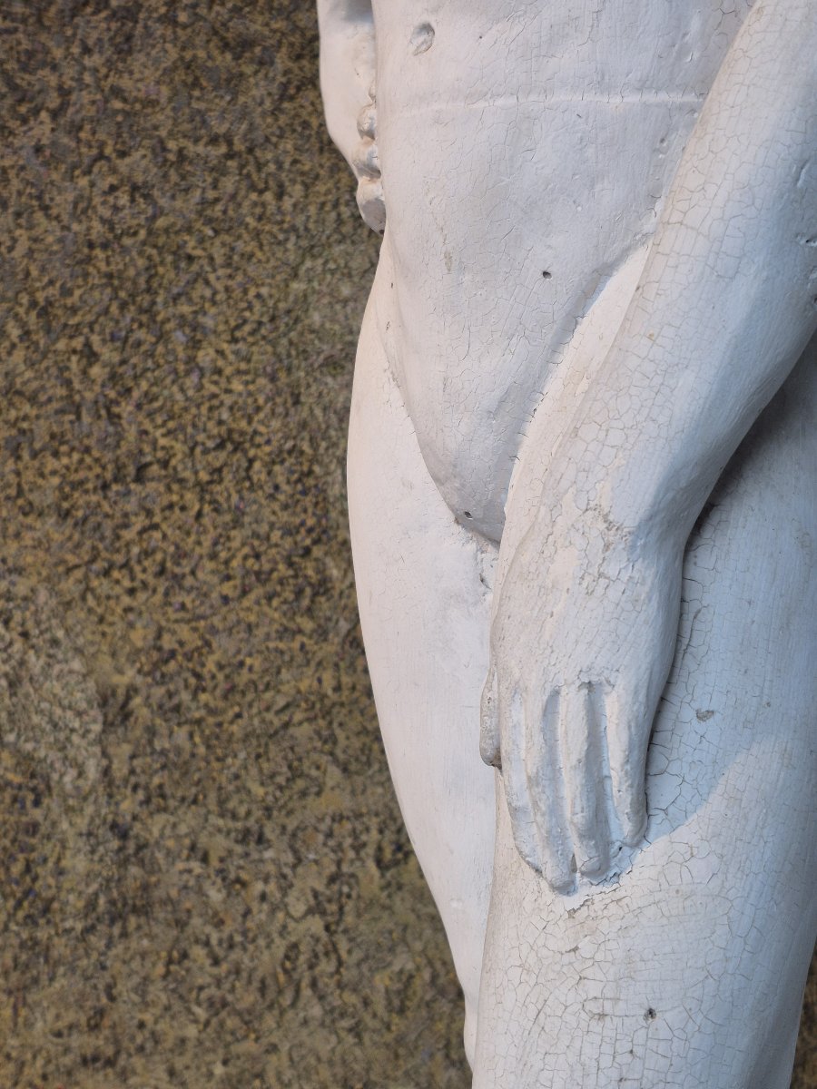Old Plaster Male Study-photo-2