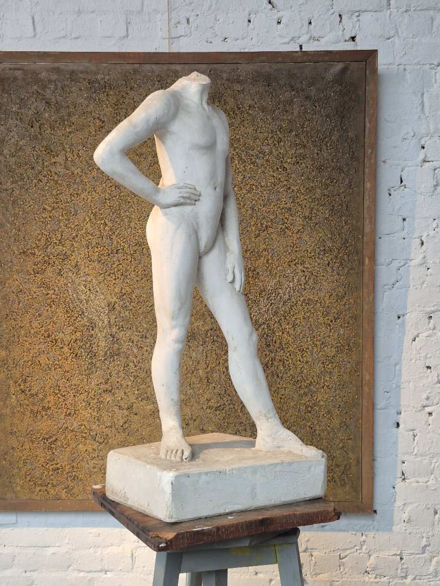 Old Plaster Male Study