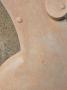 1836617-alb-6acc892177ecc.jpg