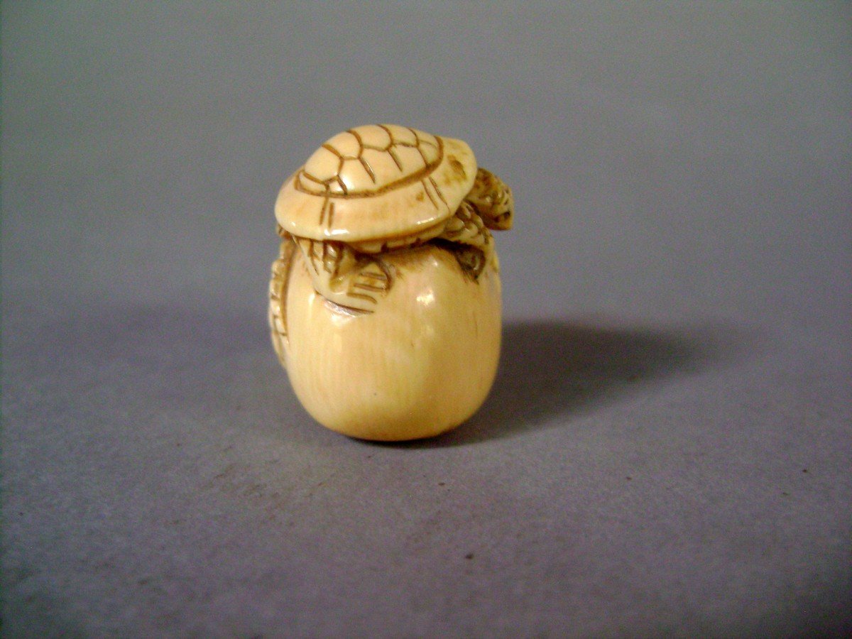 Netsuke en ivoire. Rat pris au piège. Japon époque Meiji (1868-1912 )-photo-4