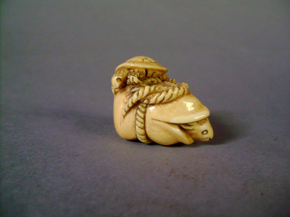 Netsuke en ivoire. Rat pris au piège. Japon époque Meiji (1868-1912 )