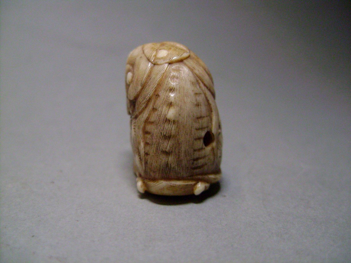 Netsuke en ivoire. Shishi. Japon époque Meiji (1868-1912 )-photo-4