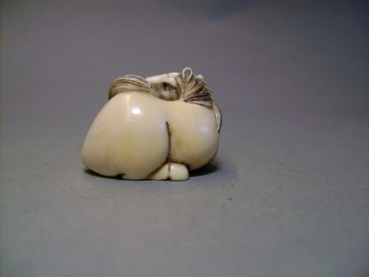 Ivory Netsuke. Horse Lying Down. Signed, Japan Taisho Period.-photo-4