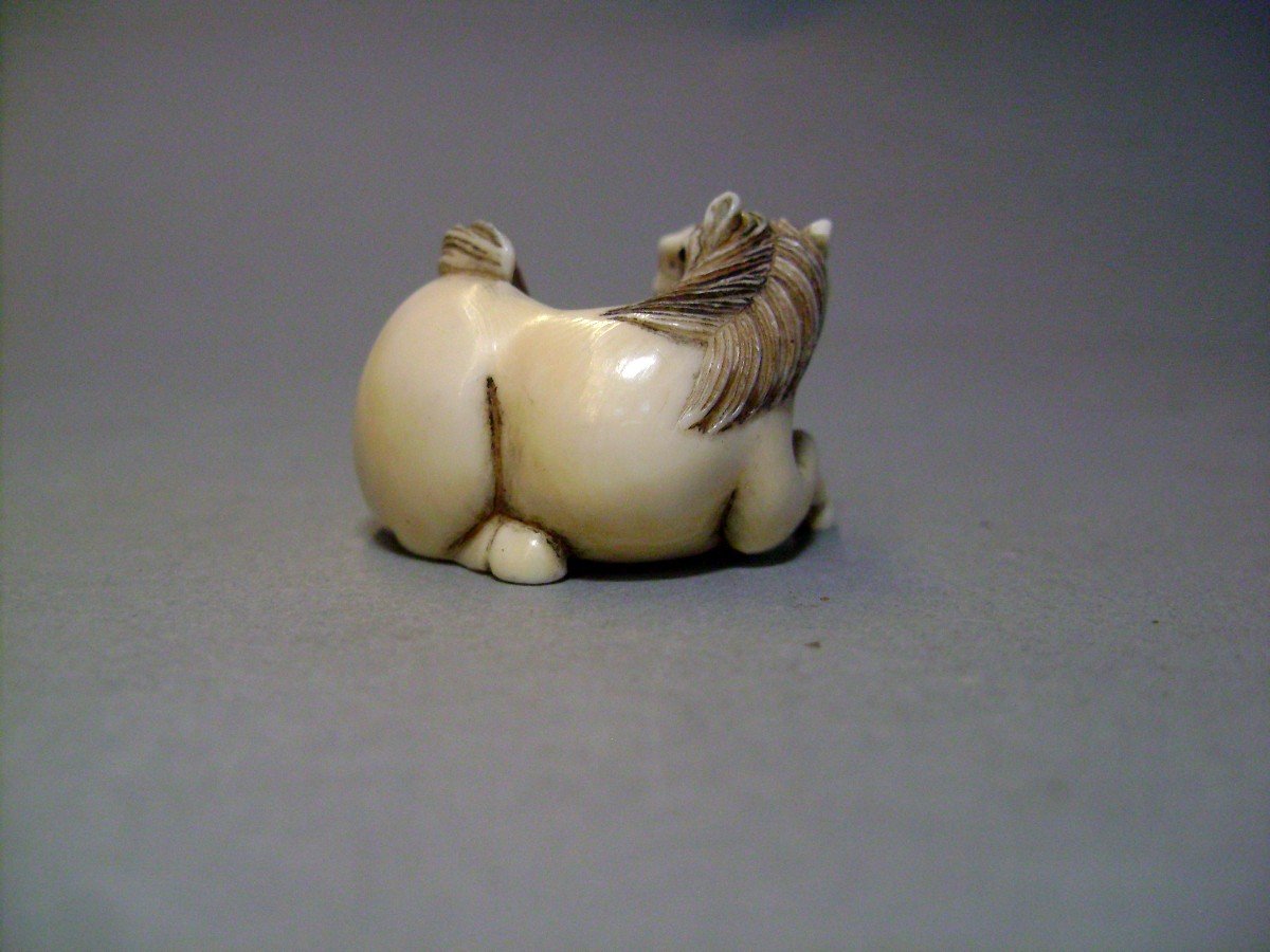 Ivory Netsuke. Horse Lying Down. Signed, Japan Taisho Period.-photo-1
