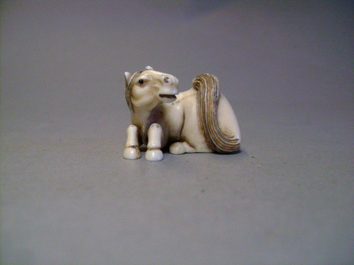 Ivory Netsuke. Horse Lying Down. Signed, Japan Taisho Period.