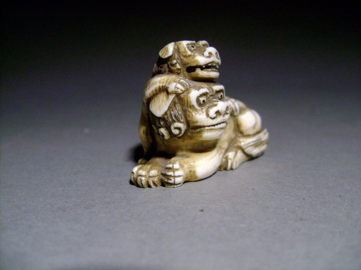 Ivory Netsuke. Shishi And Her Cub. Signed Gyokuzan, Tokyo School. Meiji Japan.-photo-2