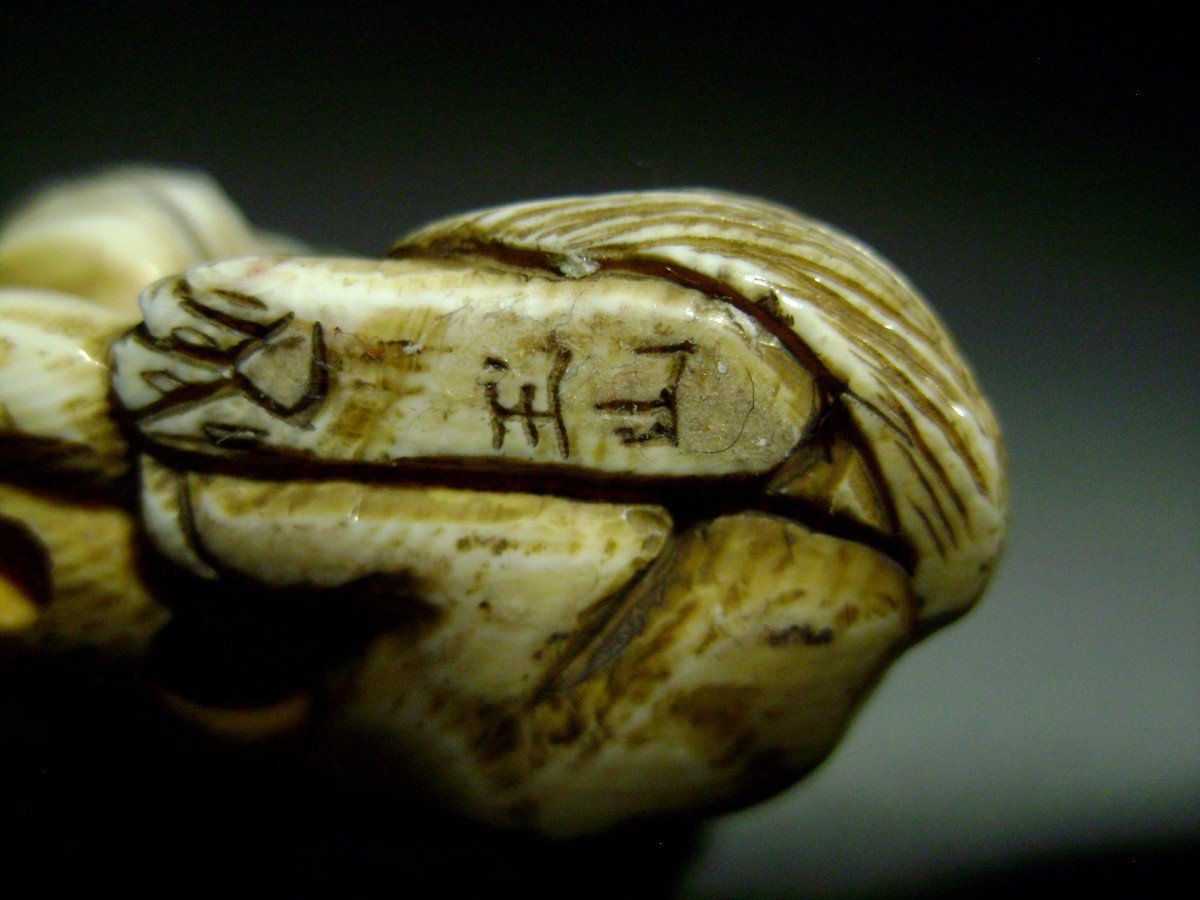 Ivory Netsuke. Shishi And Her Cub. Signed Gyokuzan, Tokyo School. Meiji Japan.-photo-4