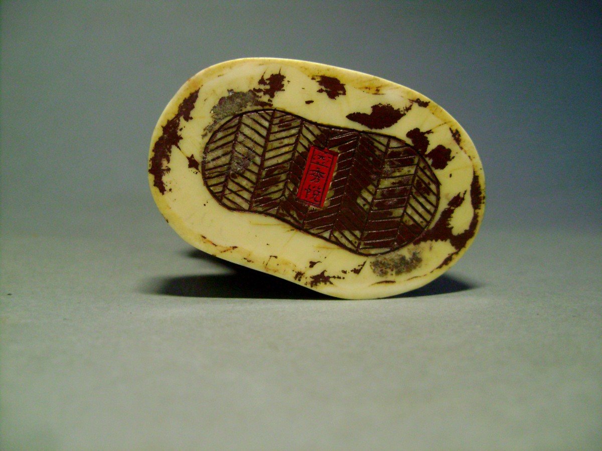 Okimono In Ivory. Fisherman With Net. Signed Shuetsu, Japan Meiji Period (1868-1912)-photo-3
