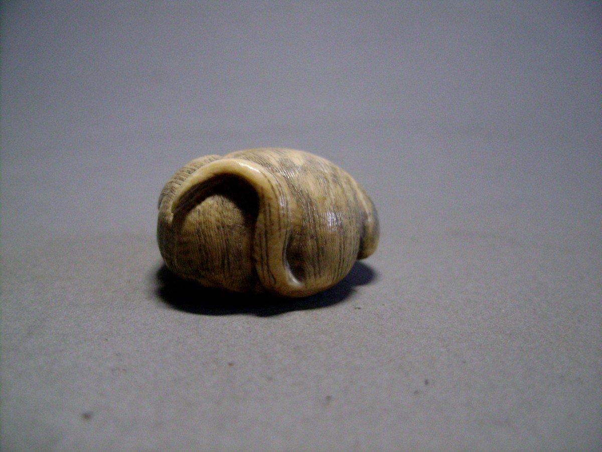 Netsuke In Ivory. The Monkey's Dream. Japan Meiji Period (1868-1912)-photo-3